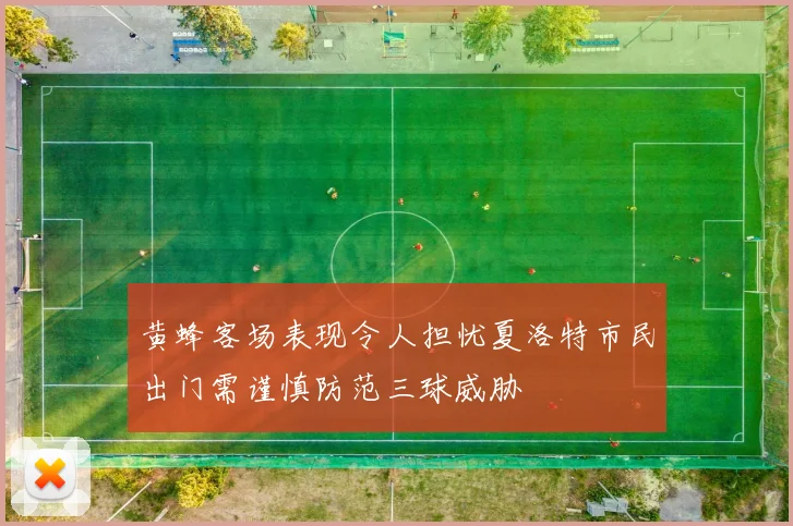 黄蜂客场表现令人担忧夏洛特市民出门需谨慎防范三球威胁