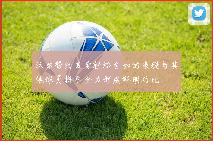 沃尔赞约基奇轻松自如的表现与其他球员拼尽全力形成鲜明对比