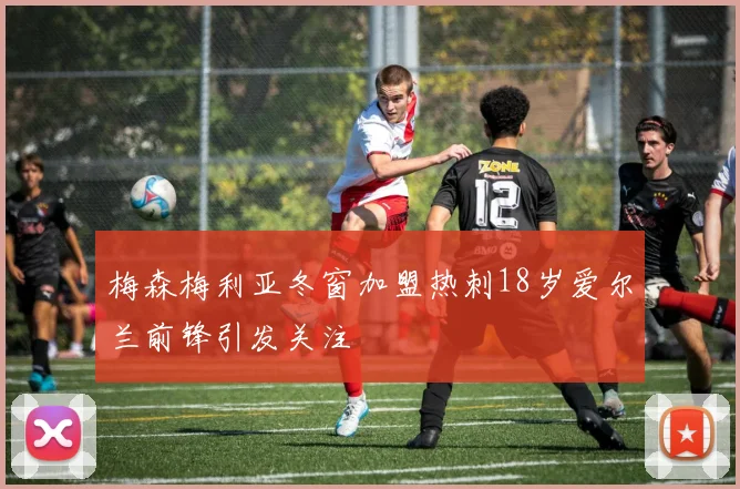 梅森梅利亚冬窗加盟热刺18岁爱尔兰前锋引发关注