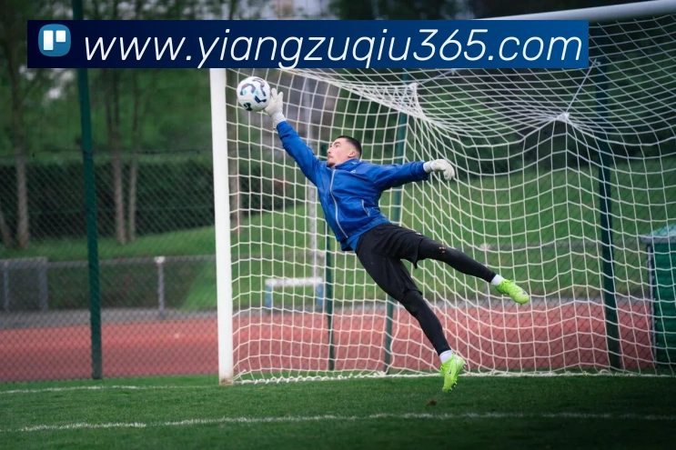 意昂体育平台生态图